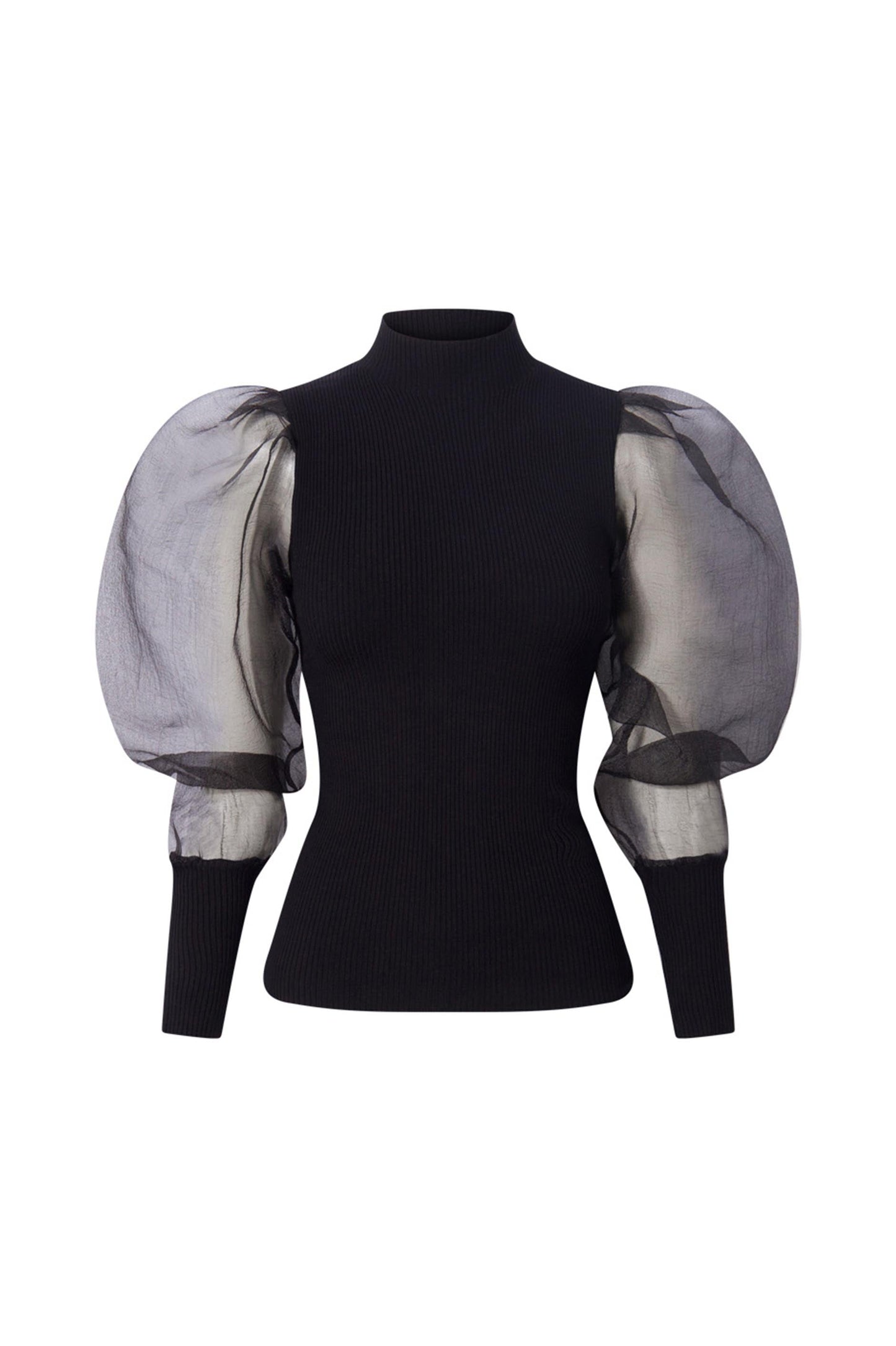 Giana Organza Sleeve Top