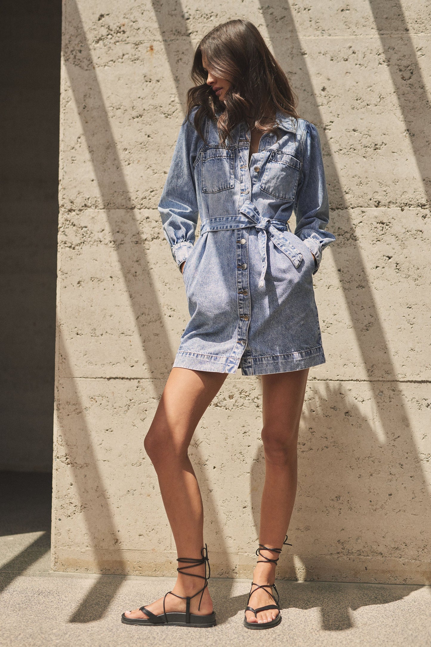 Sophia Denim Dress