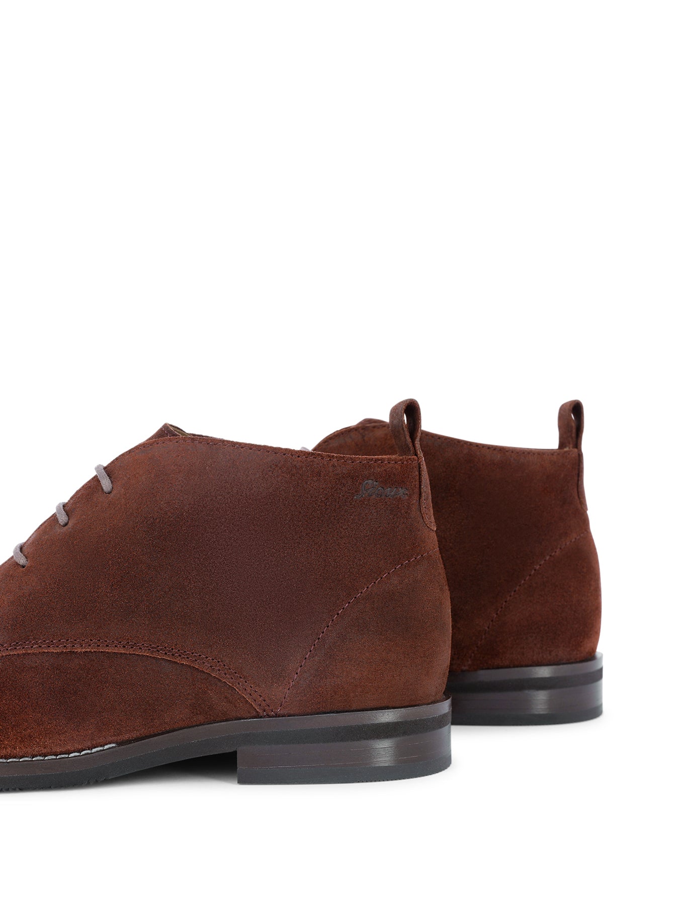 PETRUNJA_RTB_7_1738640085