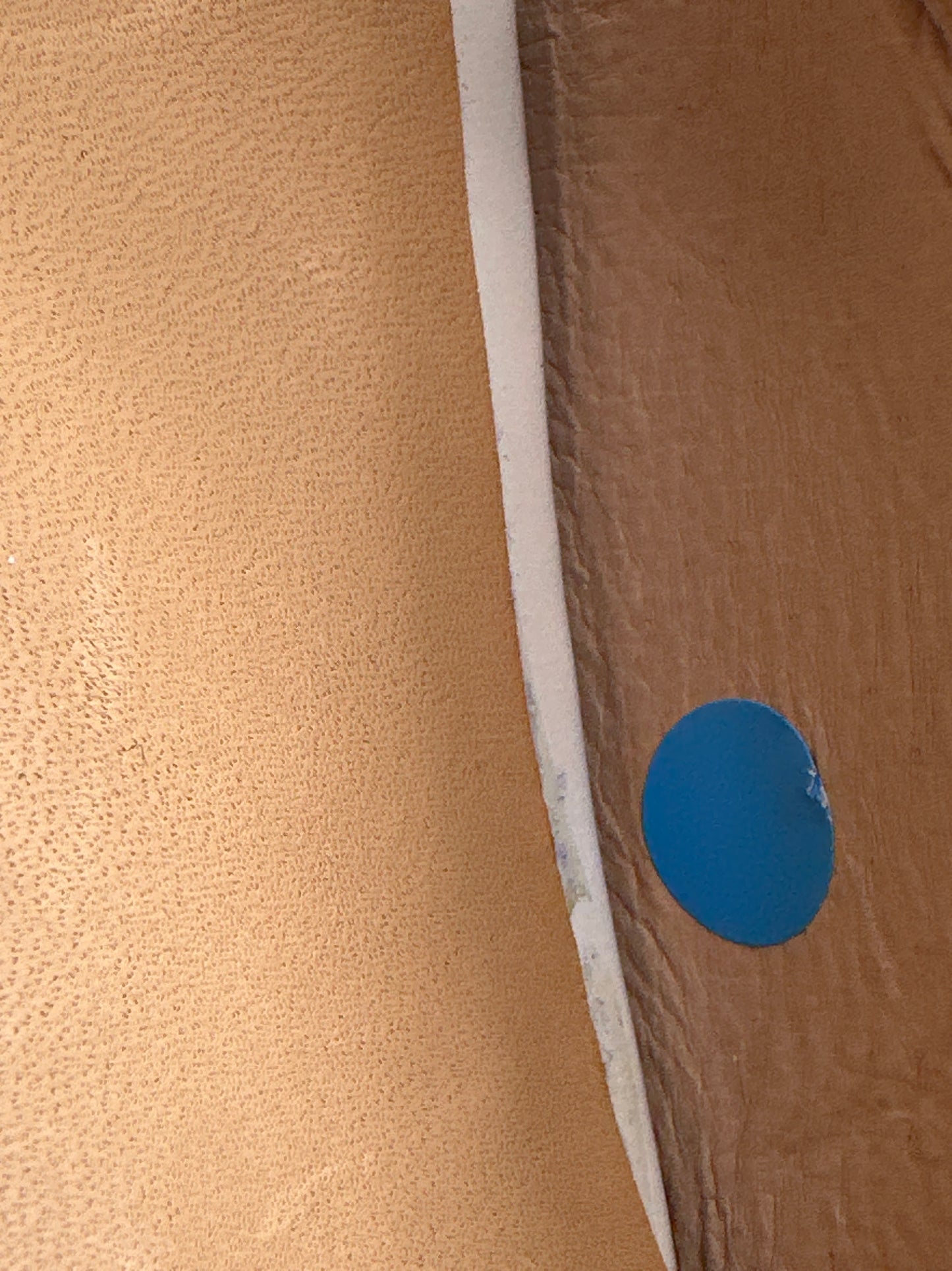26198