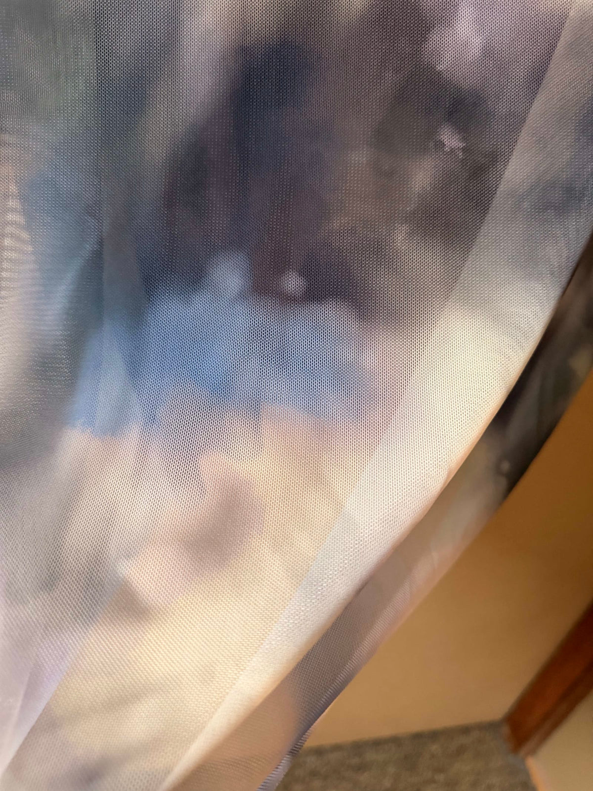 219021