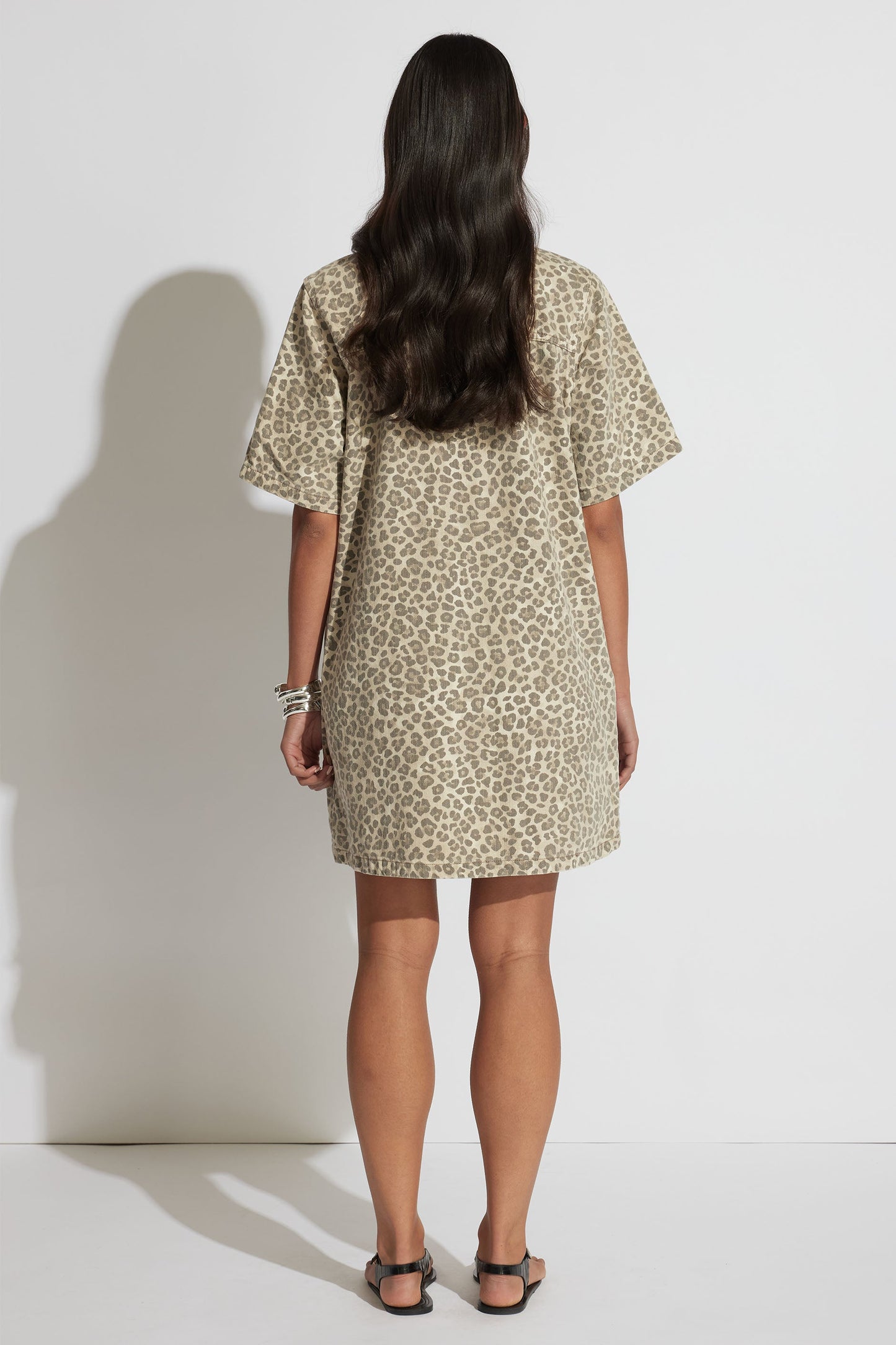 Penny Denim Shirt Dress