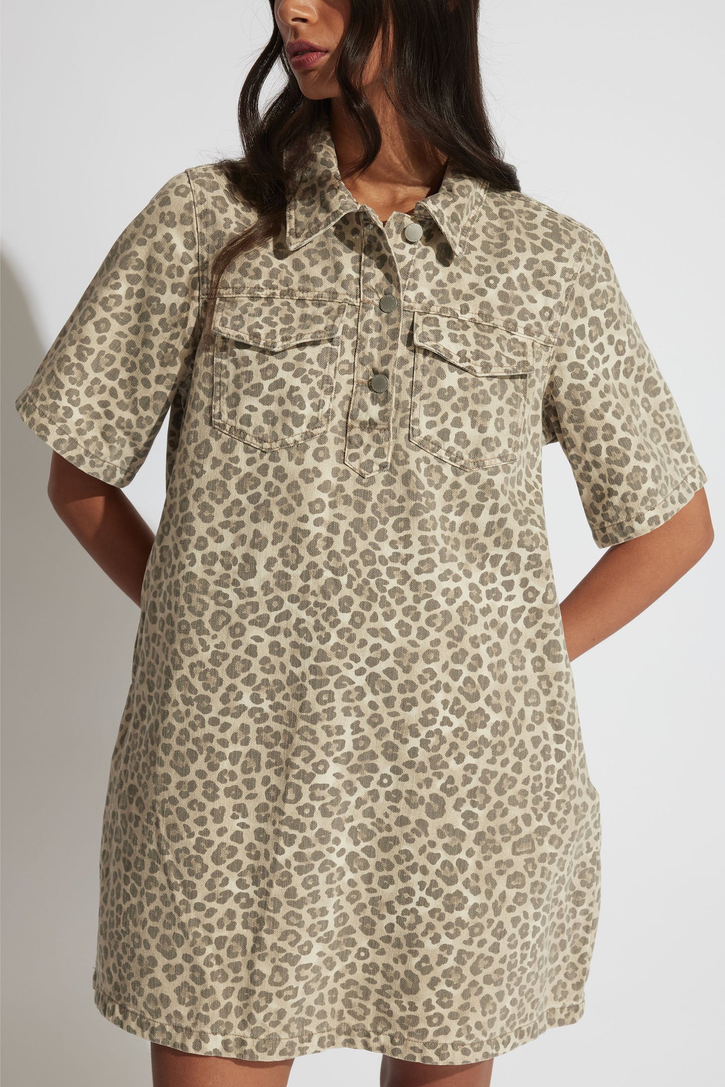 Penny Denim Shirt Dress