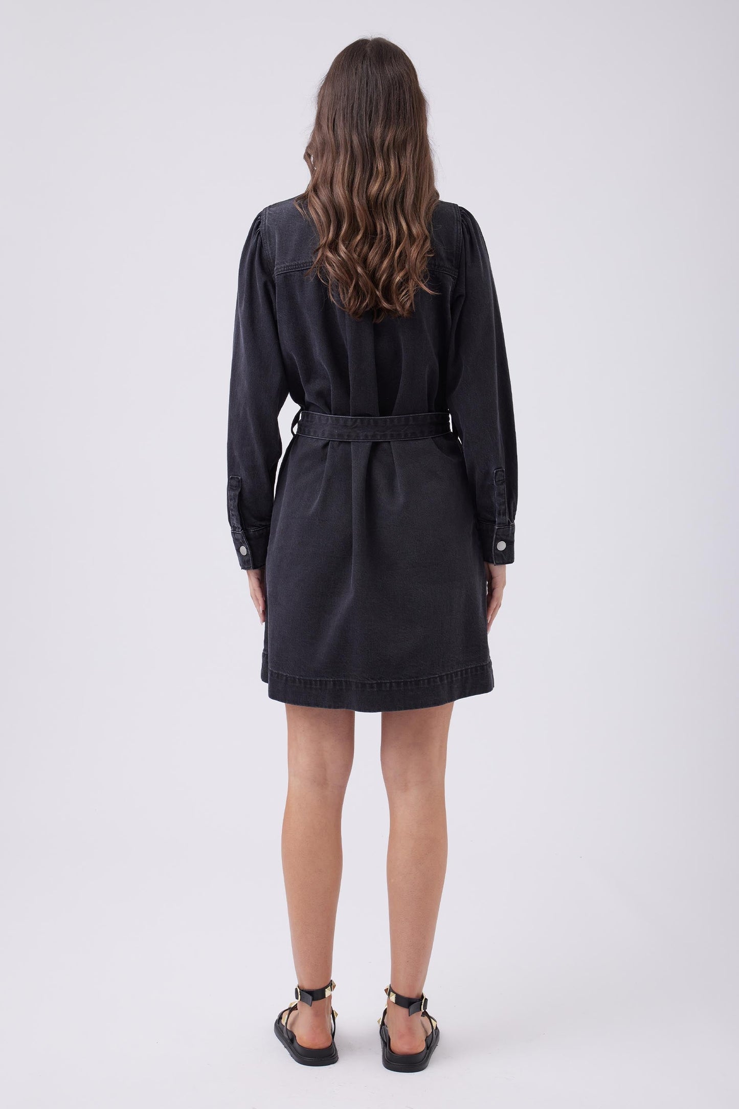 Sophia Denim Dress
