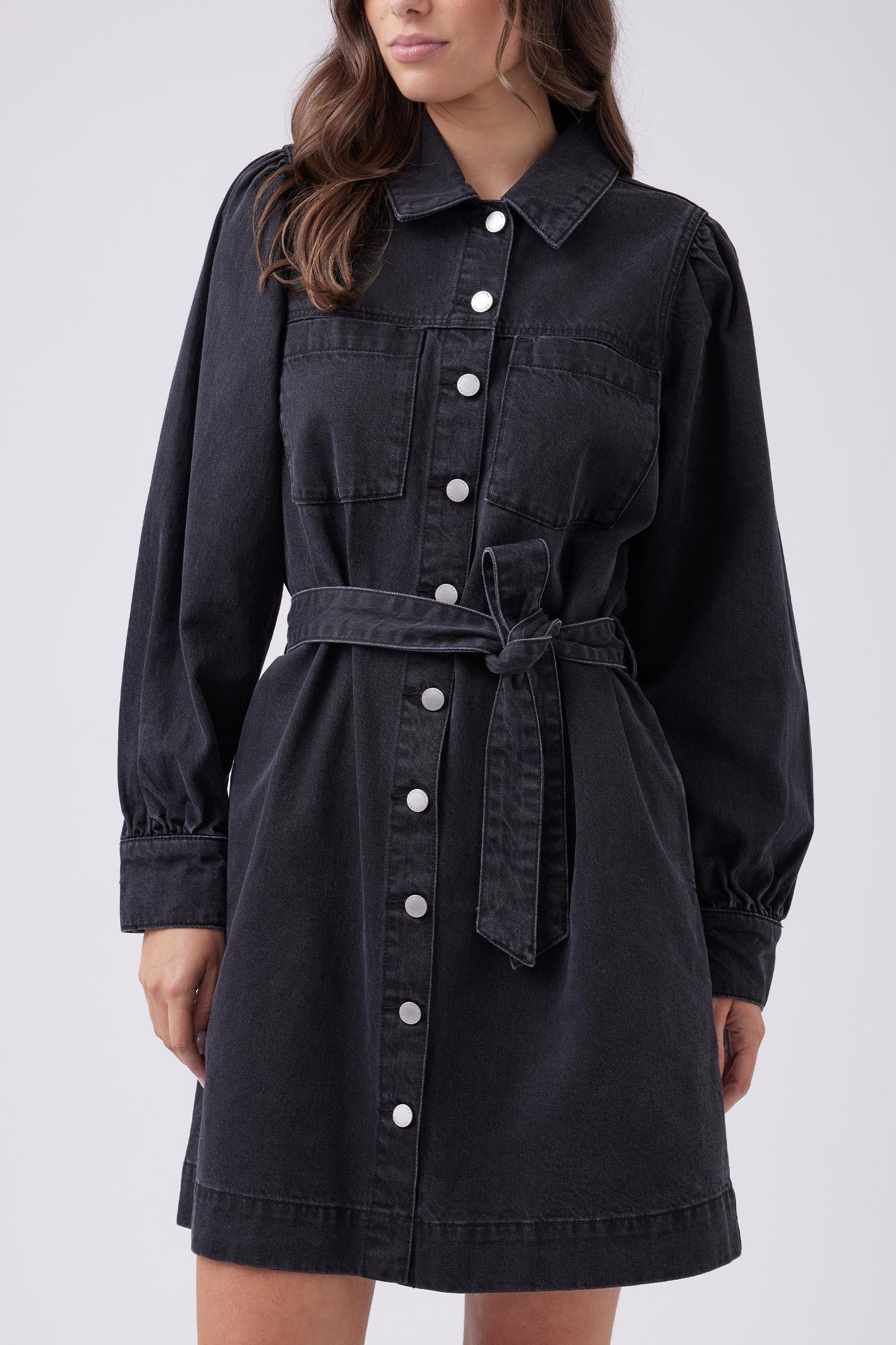 Sophia Denim Dress