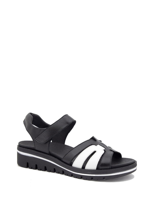 250781_BLKWHT_1_1791950496