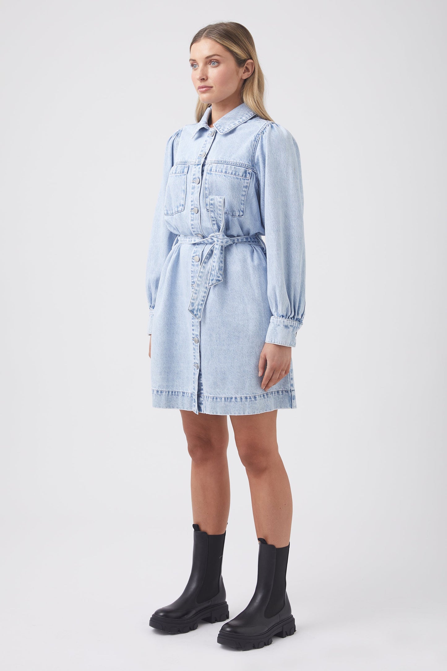 Sophia Denim Dress