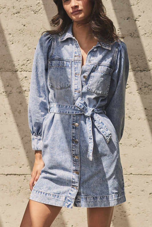 Sophia Denim Dress