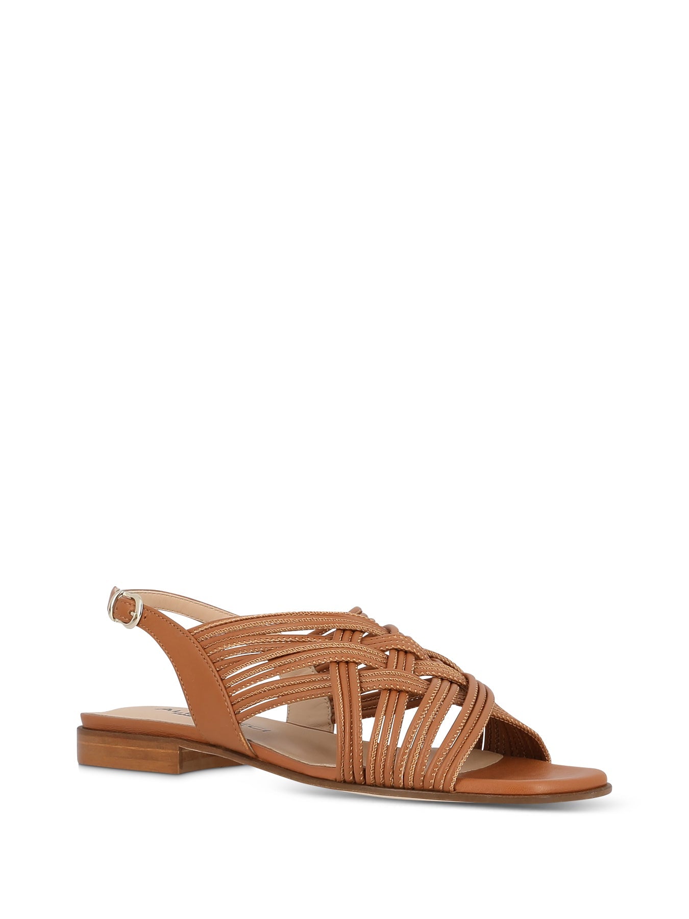 ANTON_BRW_1_1712269369