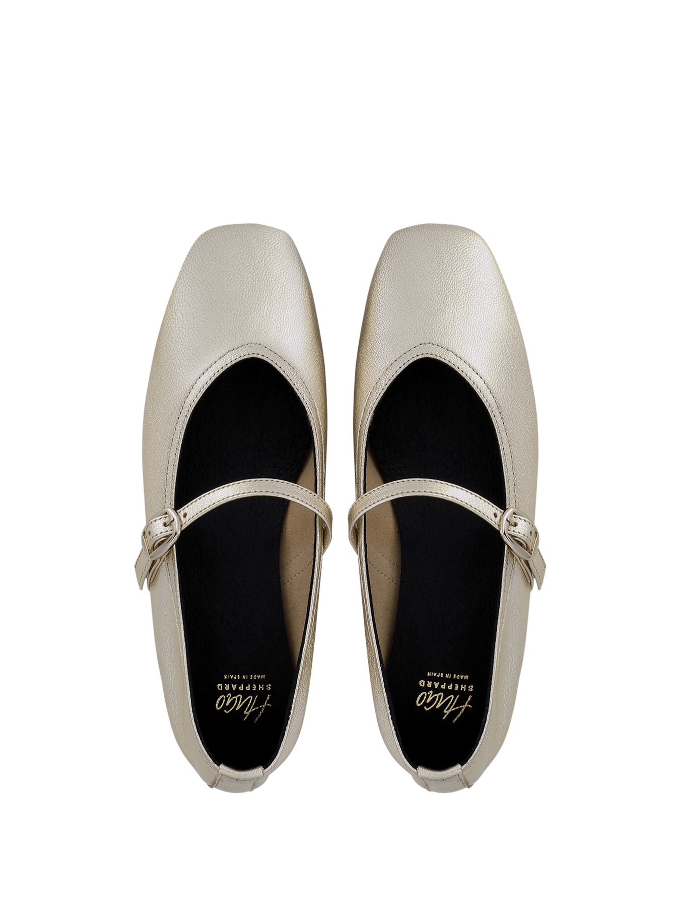 BRYAN_CHP_4_1739327543