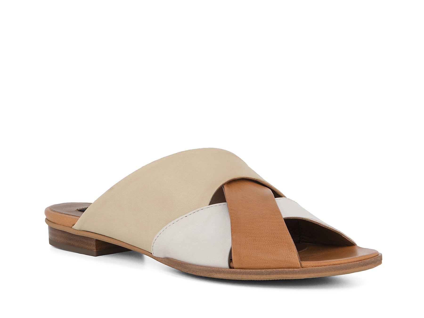 CAMEDORE_NAT_1_1660871001