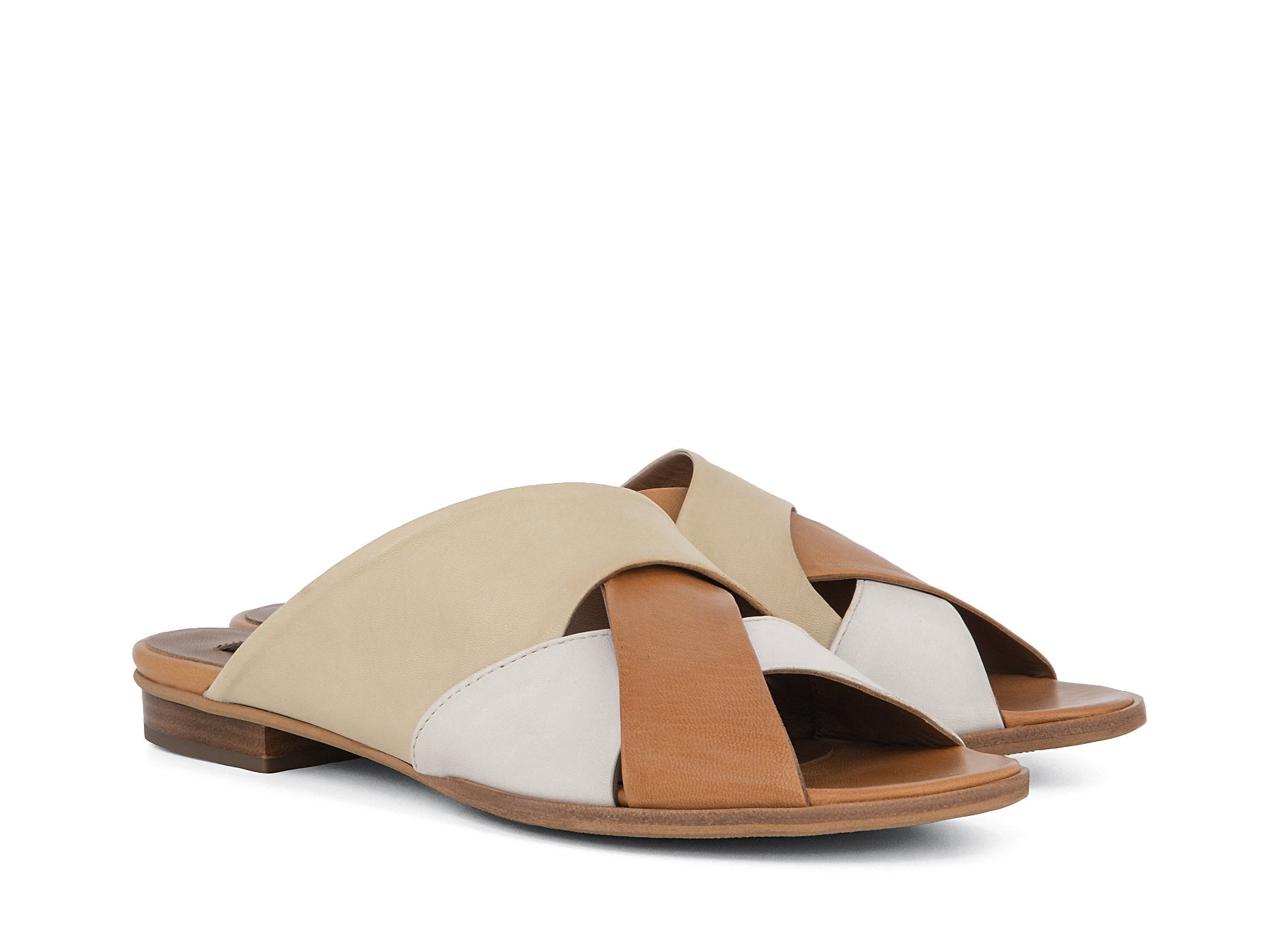 CAMEDORE_NAT_3_1660871004