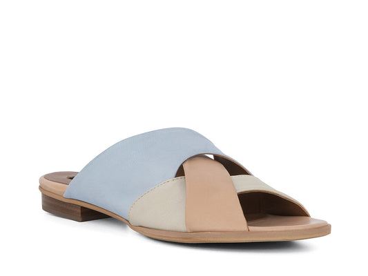 CAMEDORE_PAS_1_1660689631