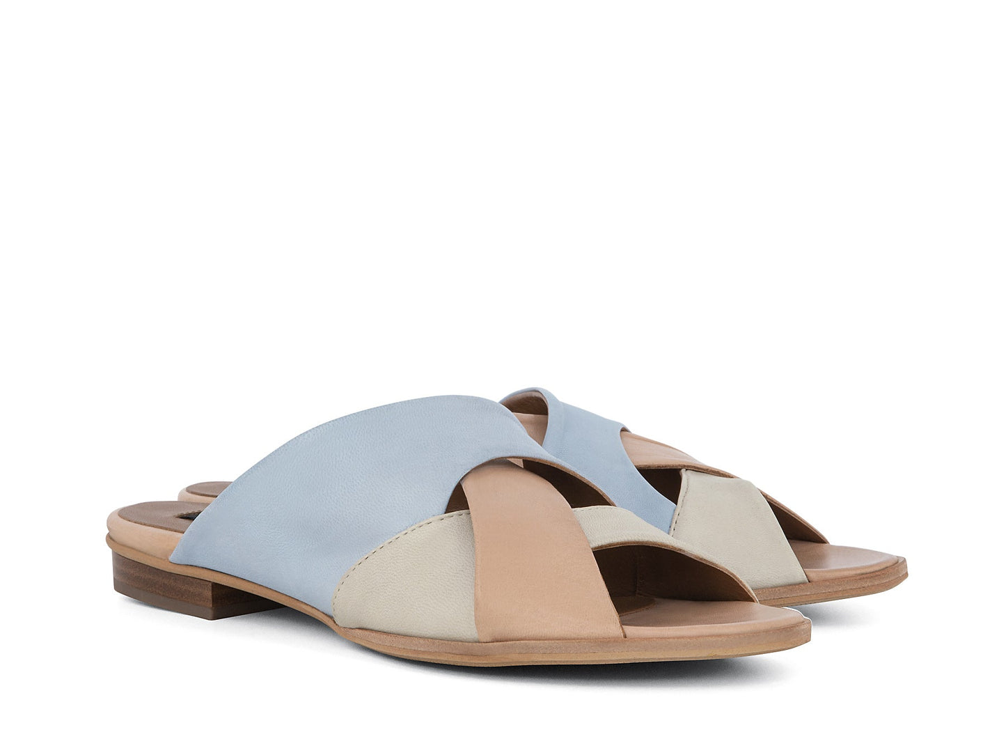 CAMEDORE_PAS_3_1660689632