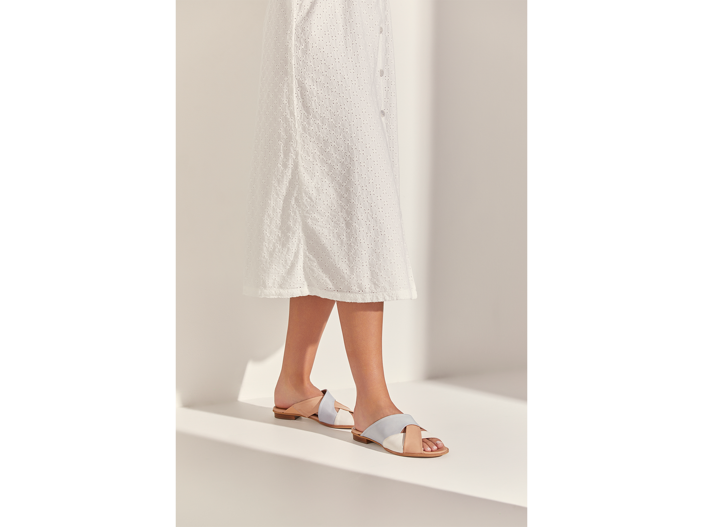 CAMEDORE_PAS_6_1666020836