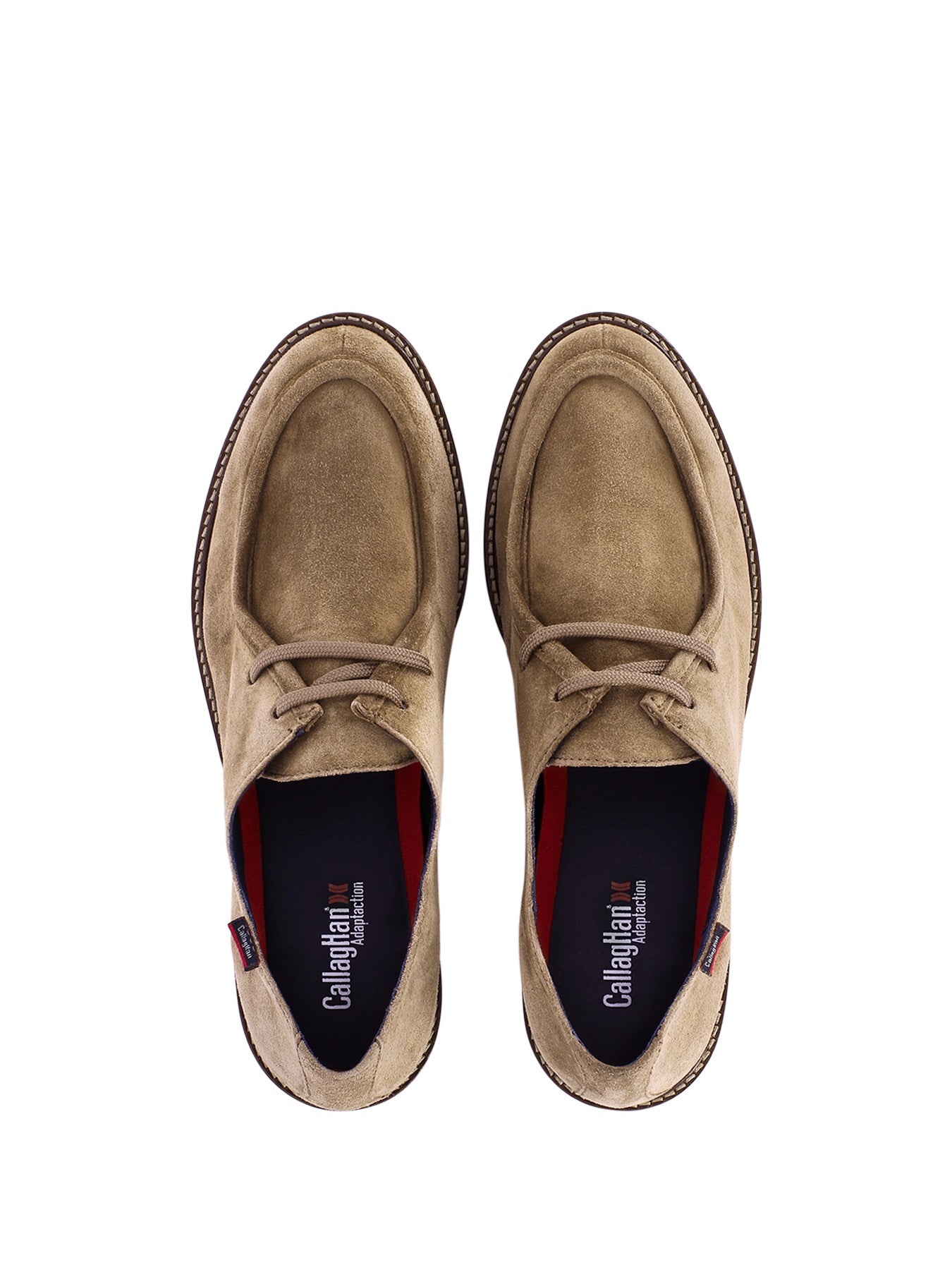 CASTELLR_DES_4_1739314962