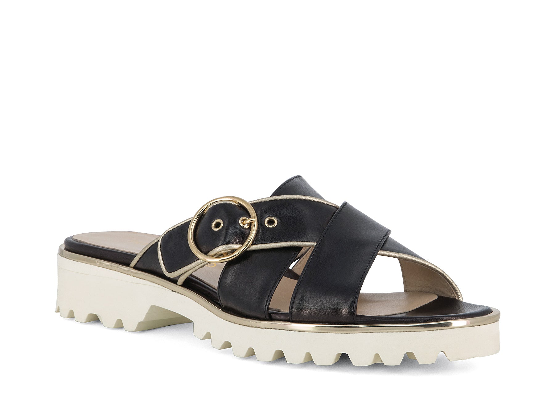 CERTO_BLKGLD_1_1689217218