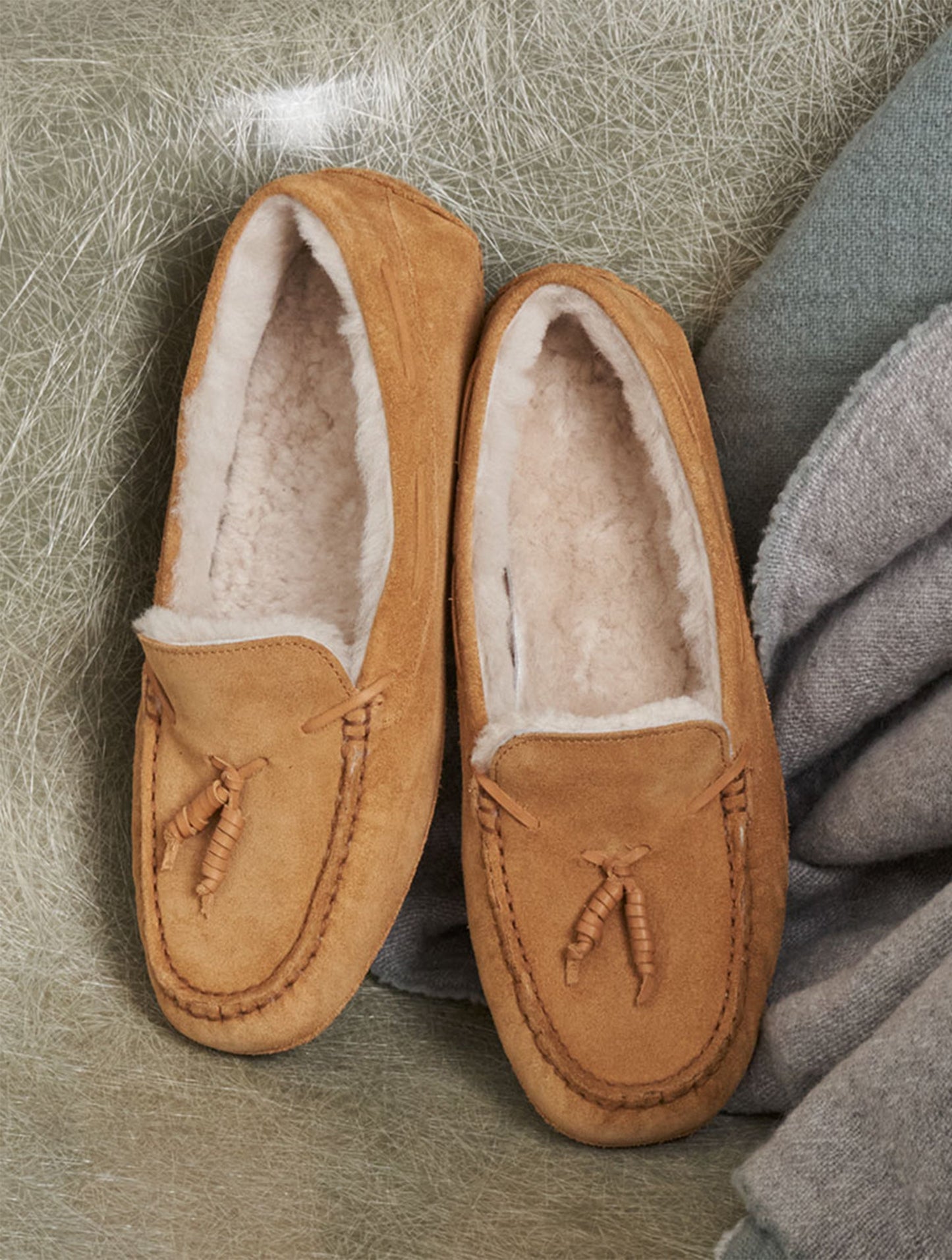 CHILIA_MTD_5_1693210774