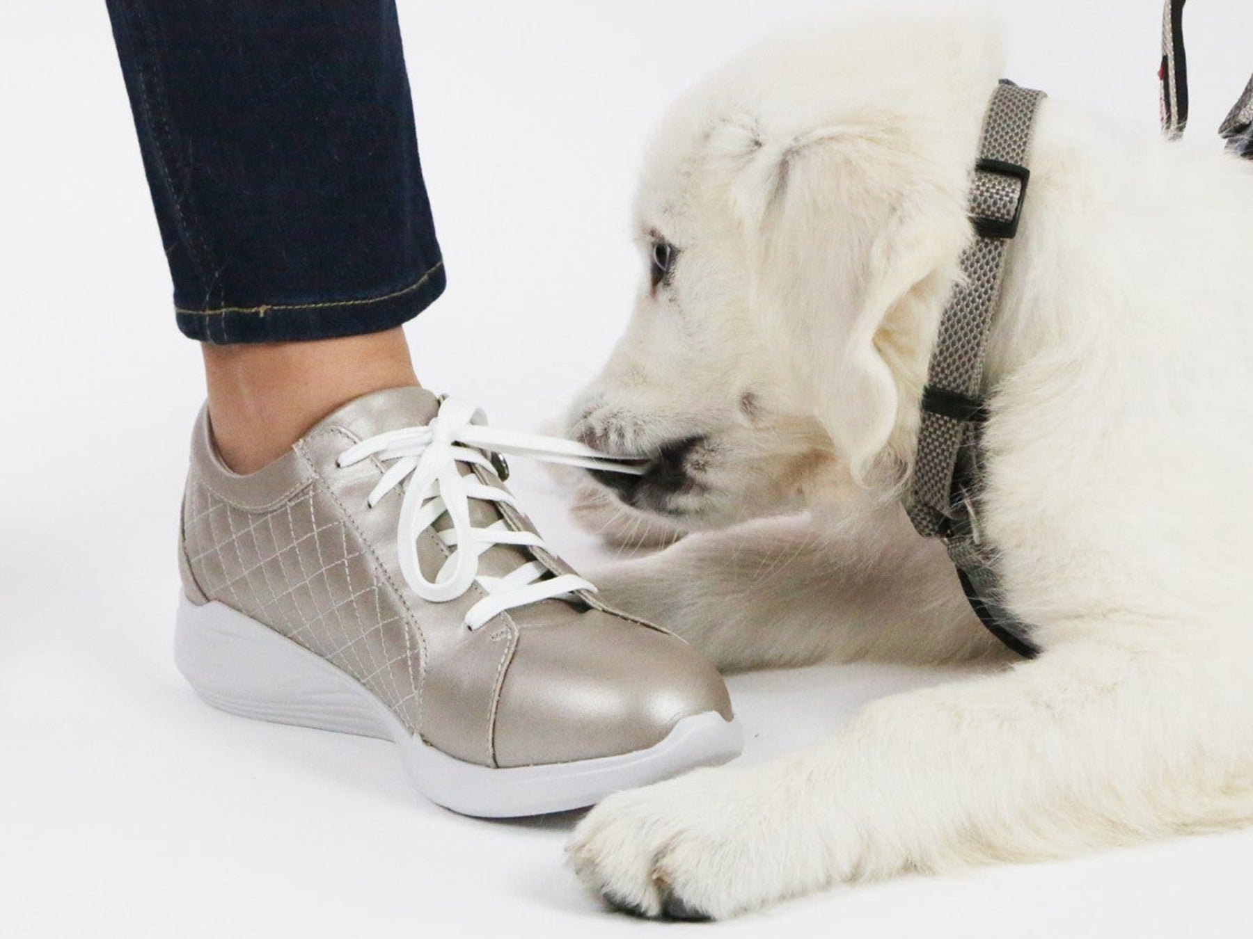 EMMIE_TAM_6_1643859553