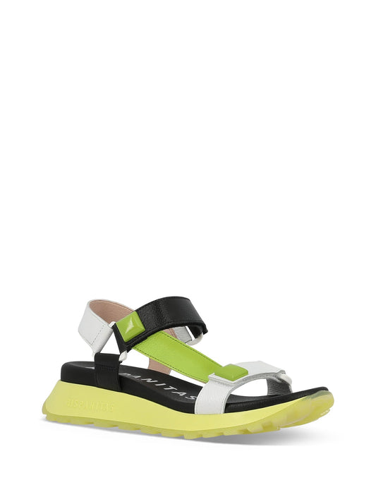 HATSUNNE_LMGUBK_1_1712011497