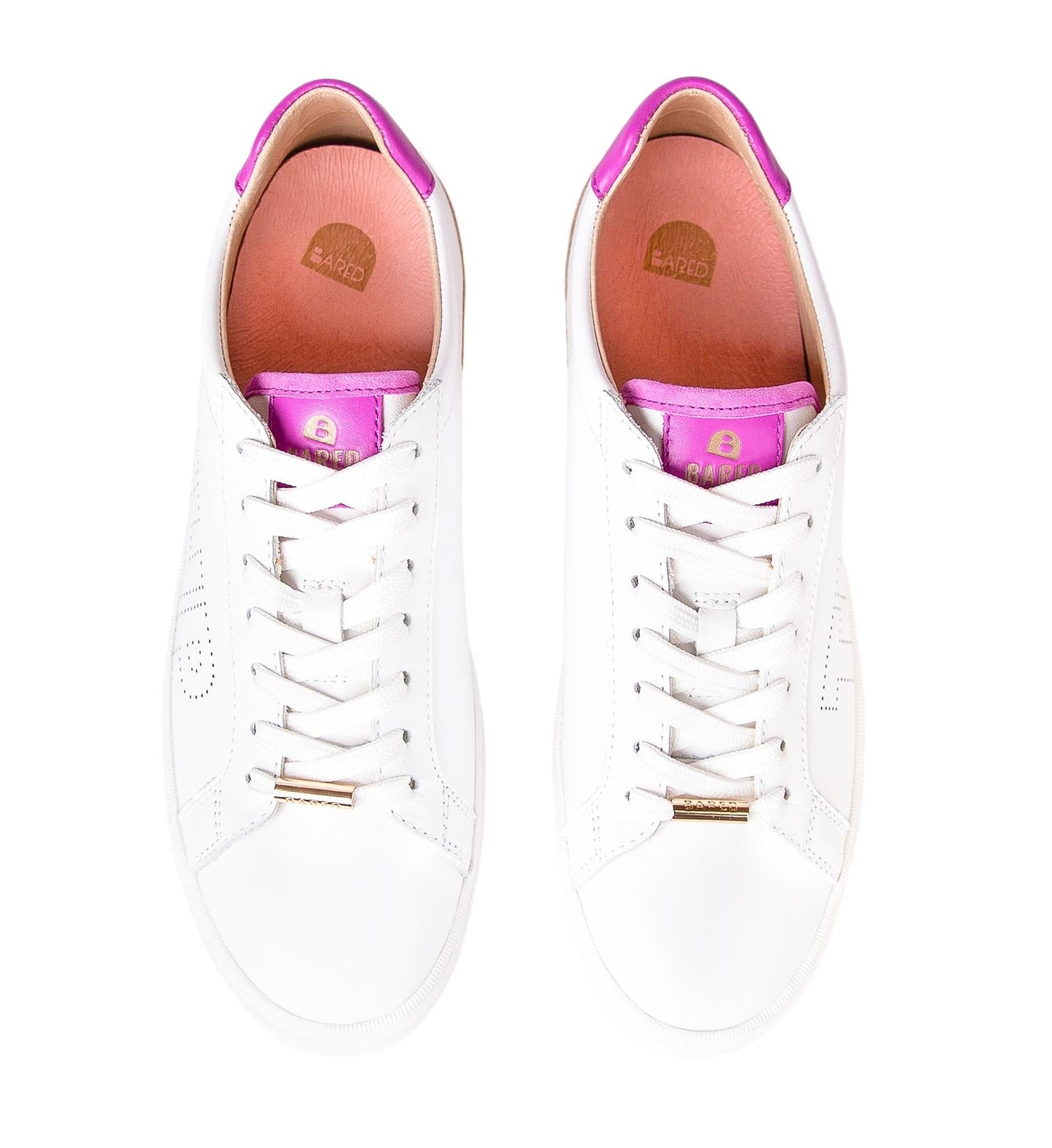 Hornbill Sneakers
