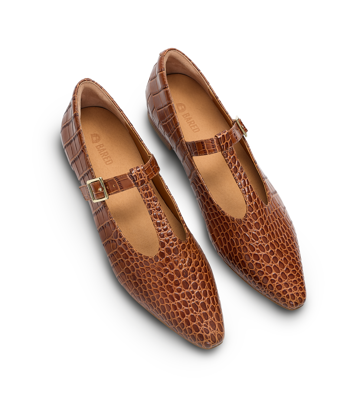 Brown pointed-toe shoes with a strap and buckle on a white background