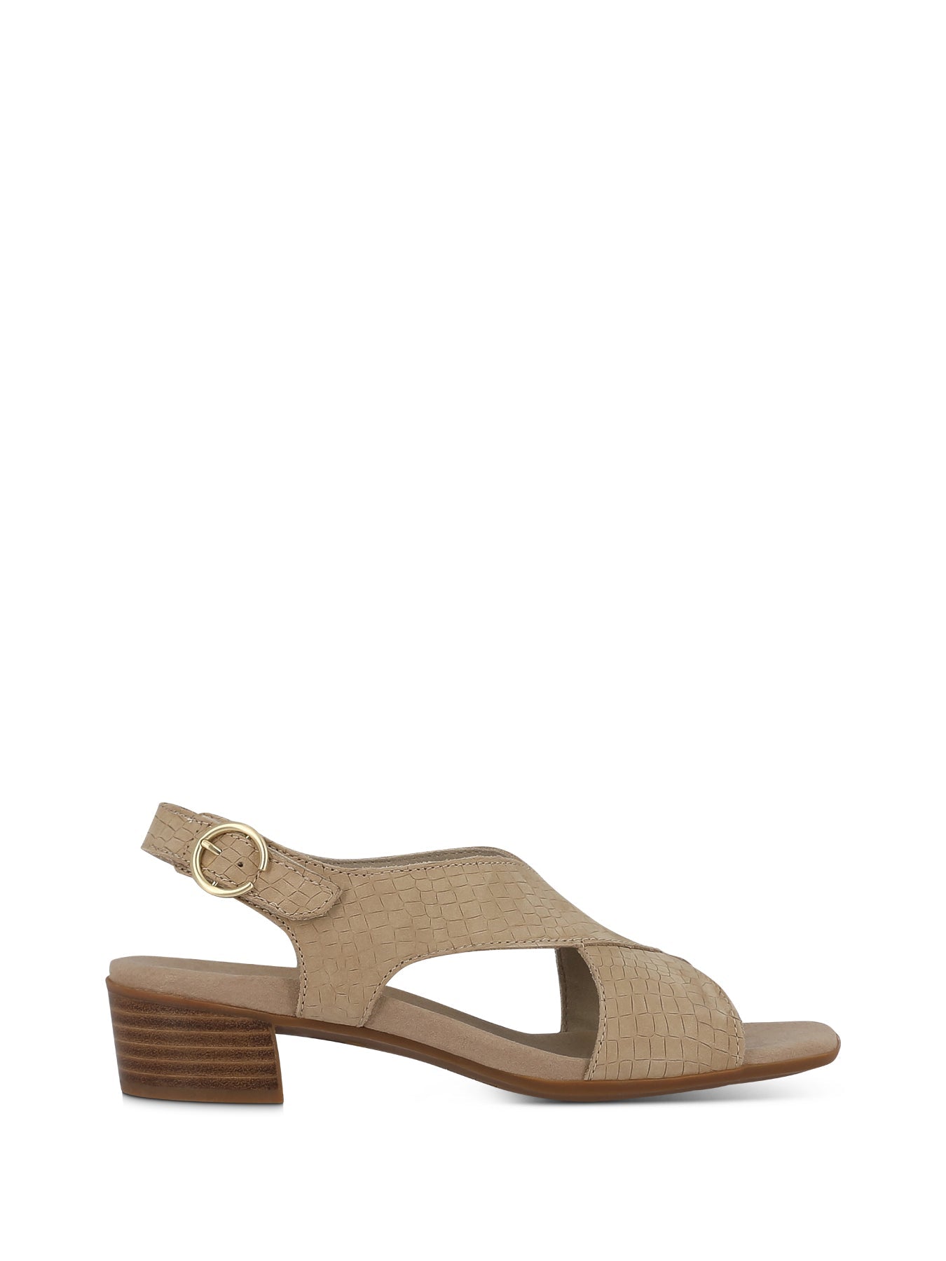 JENNY_TCR_2_1715903431