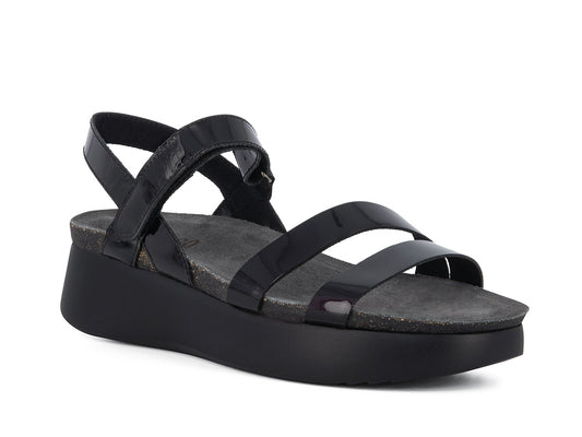 JUNIPER_BLP_1_1657687950