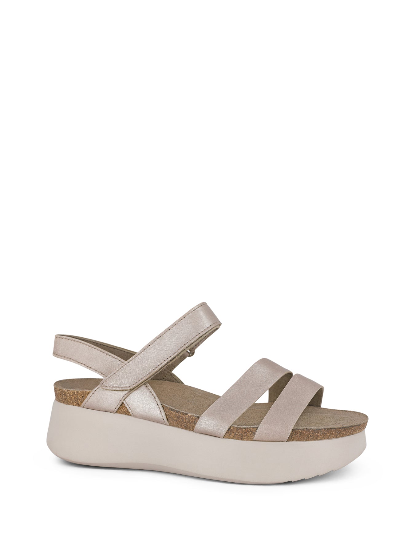 JUNIPER_TAM_1_1628731924