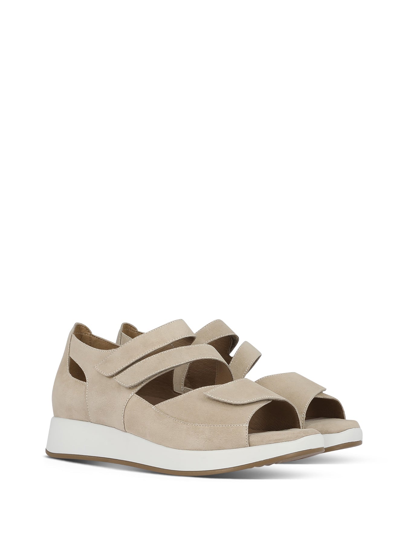 PENNI_SAN_3_1714950711