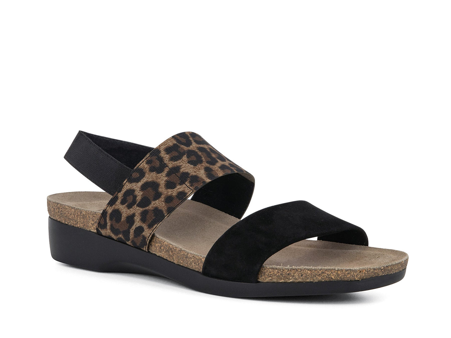 PISCES_BLKLPD_1_1657687966