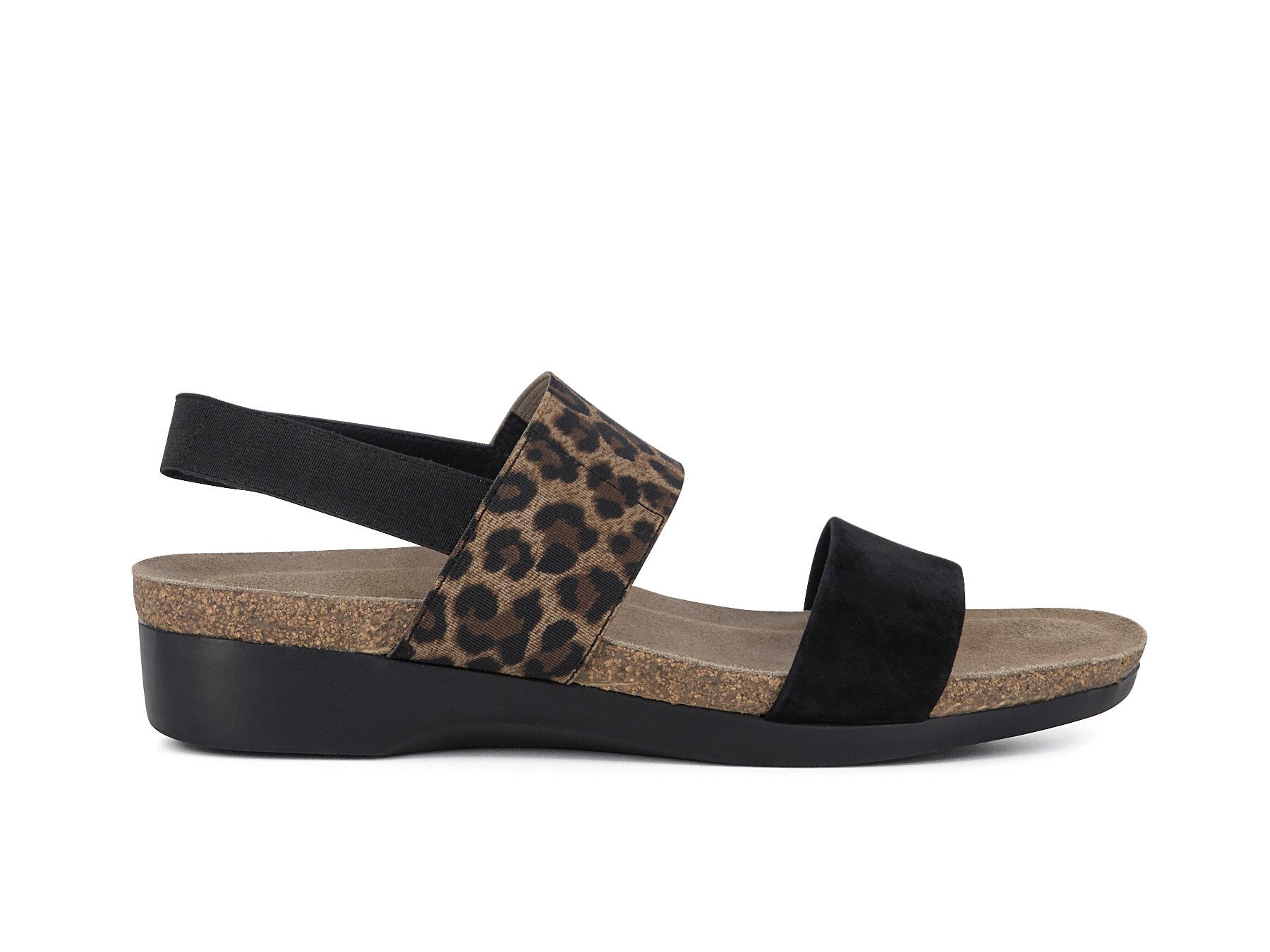 PISCES_BLKLPD_2_1657687965