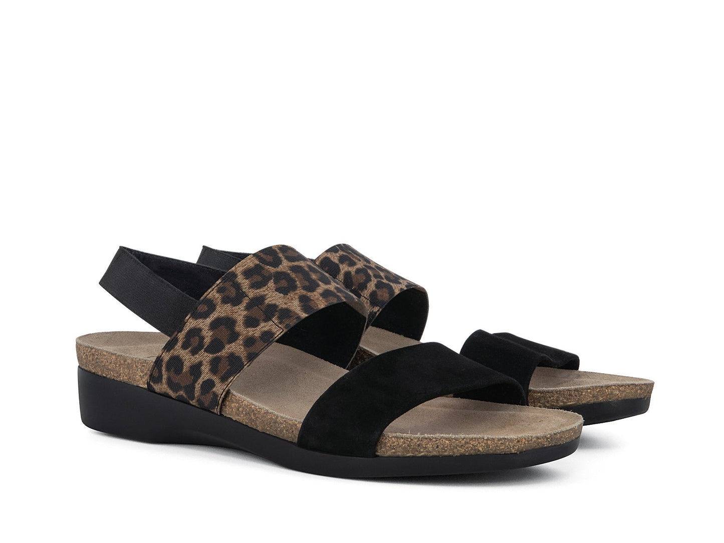 PISCES_BLKLPD_3_1657687965