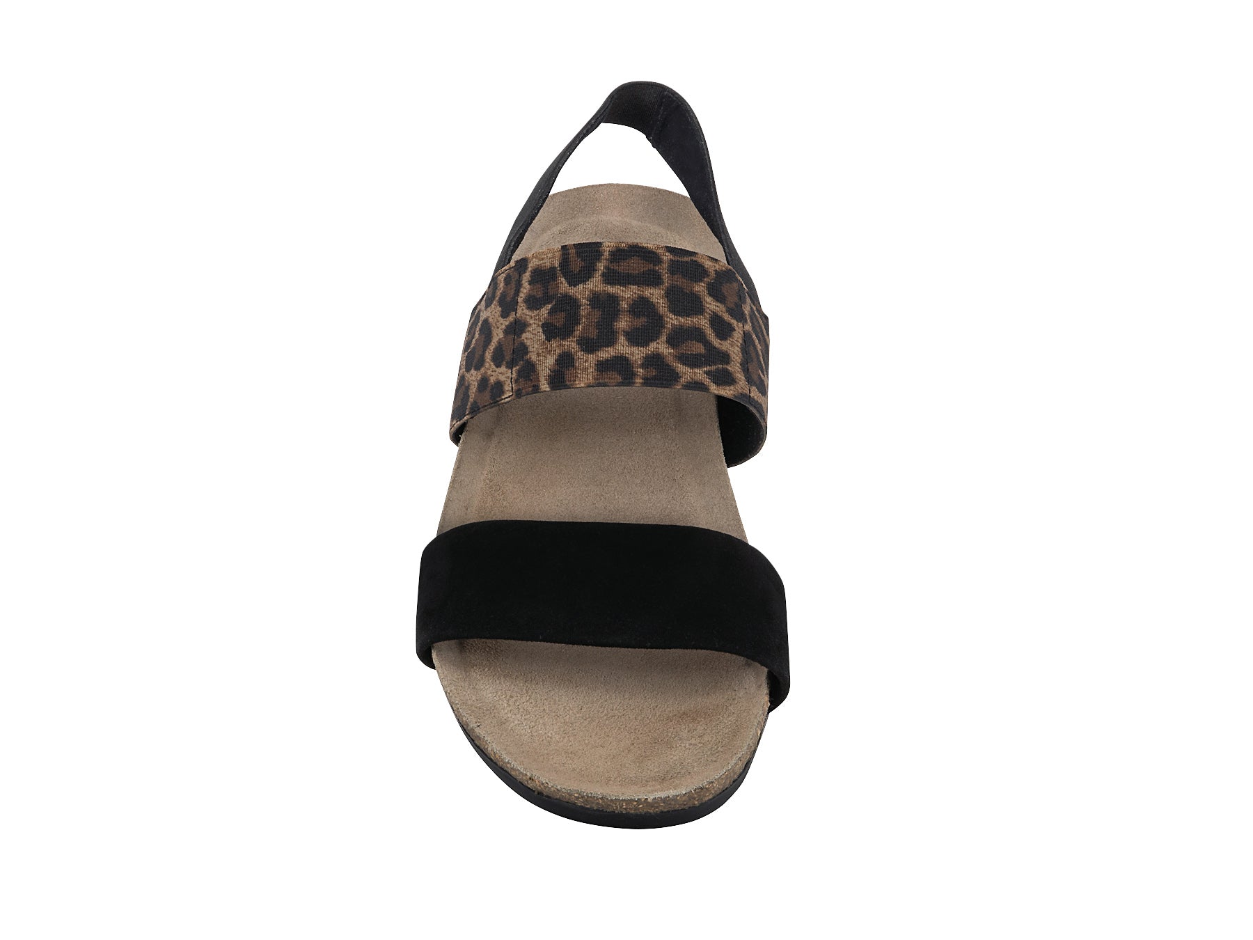 PISCES_BLKLPD_4_1657687965