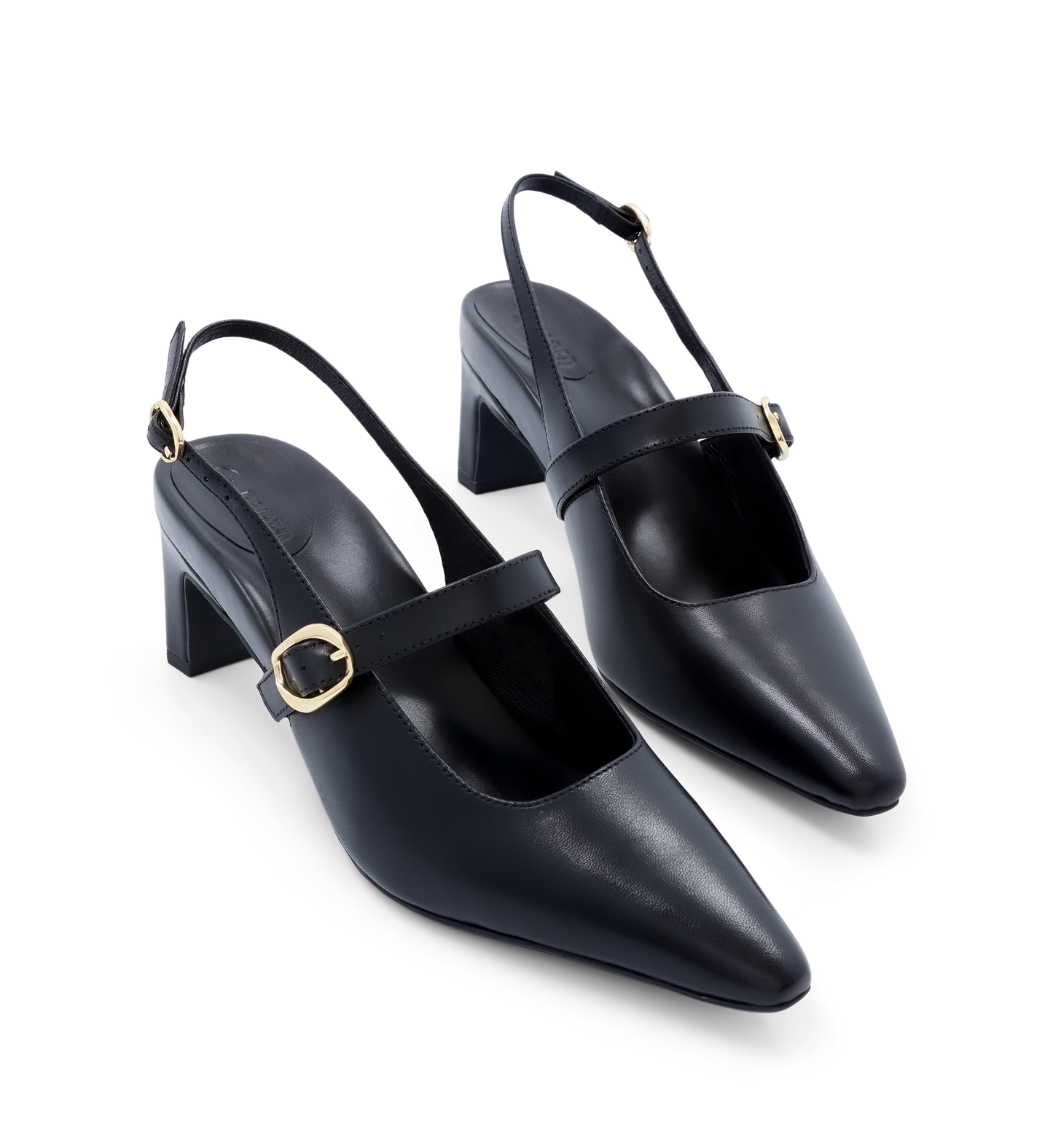 Parotia Black Leather Low Heels