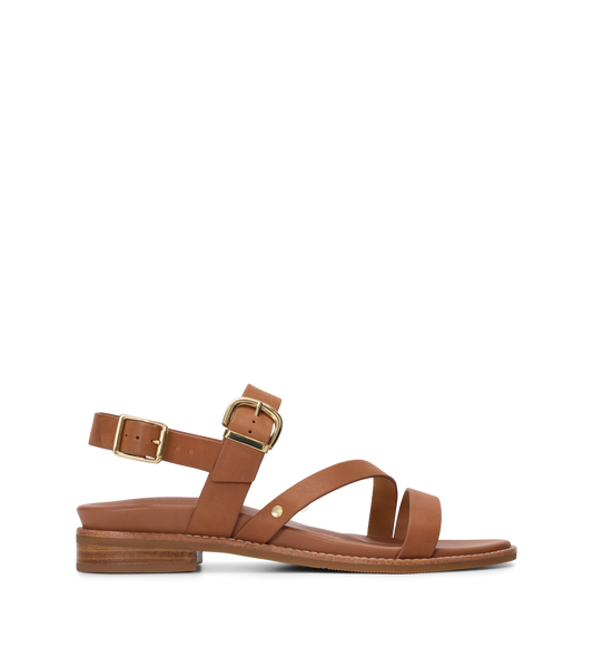 Brown sandal with gold buckle on a white background