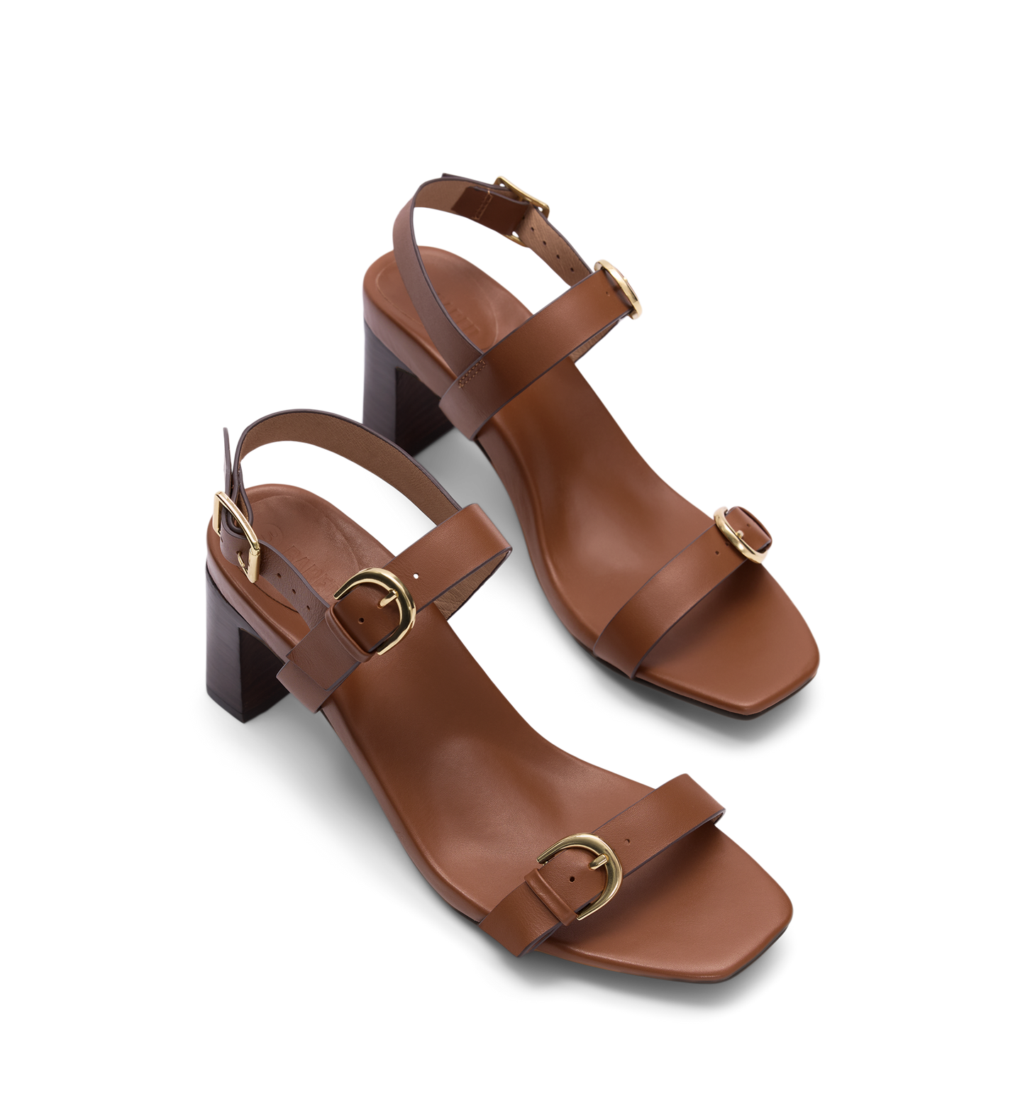 Pair of brown heels with gold buckles on a white background