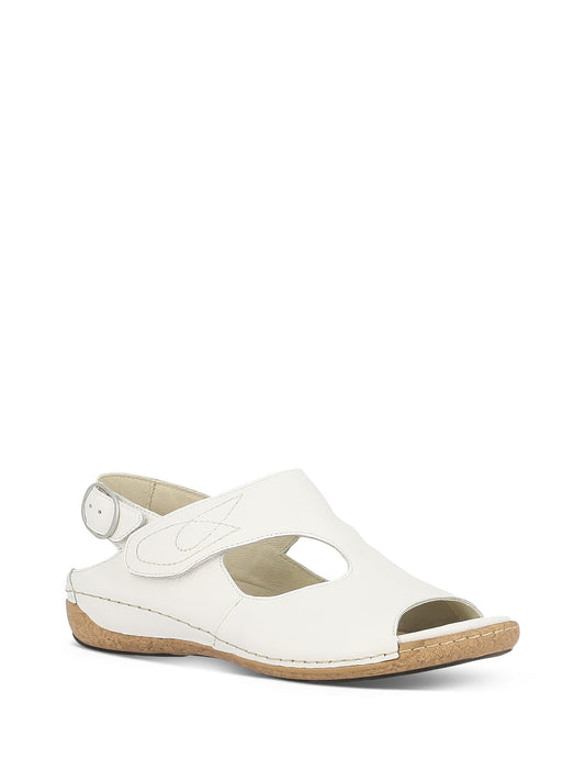 WHAM_WHT_1_1710992657