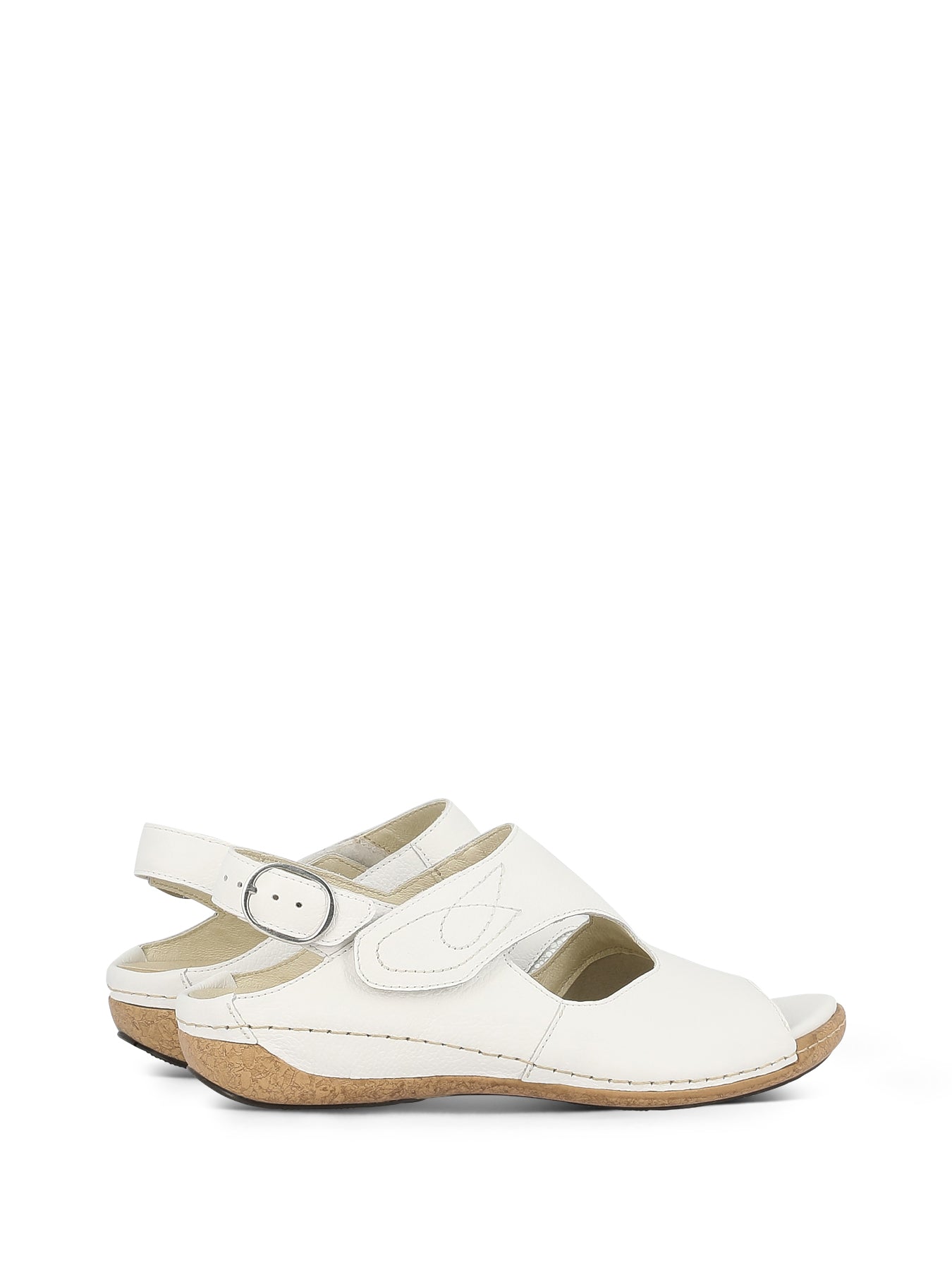 WHAM_WHT_4_1710992710