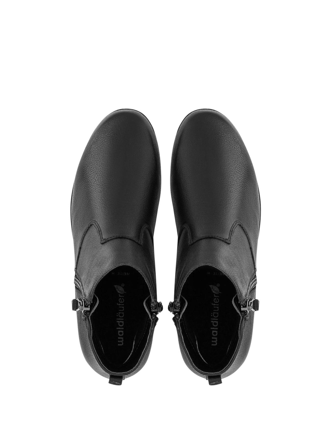 WONDER_BLL_4_1763420625