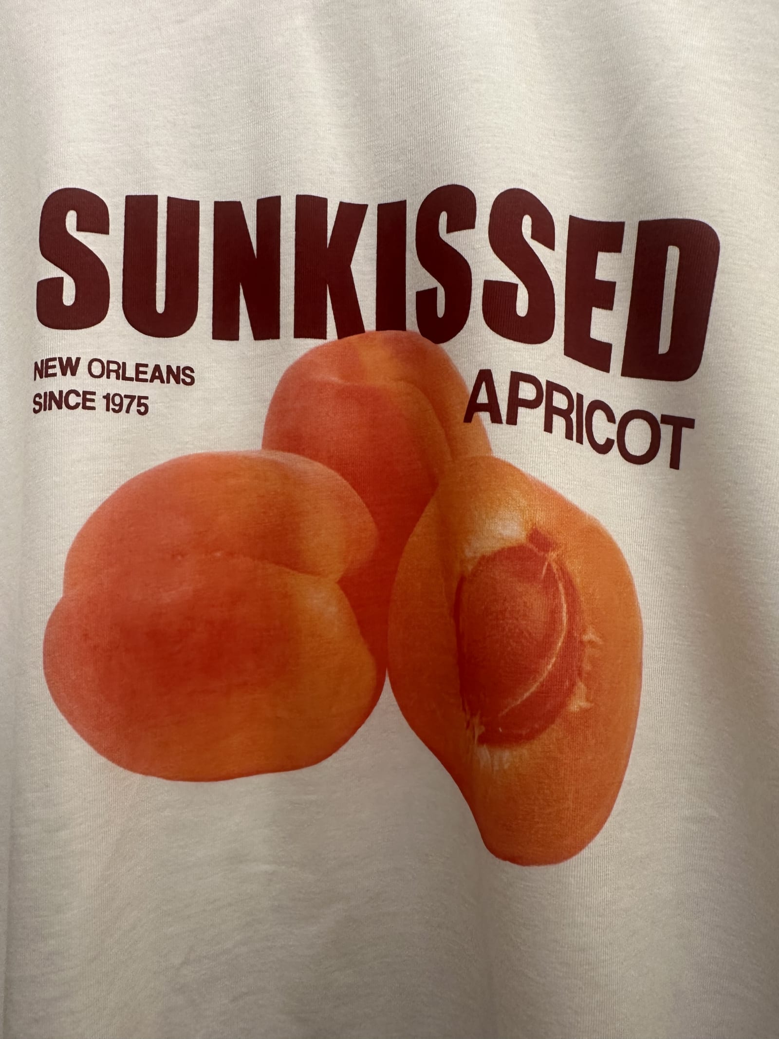 66566