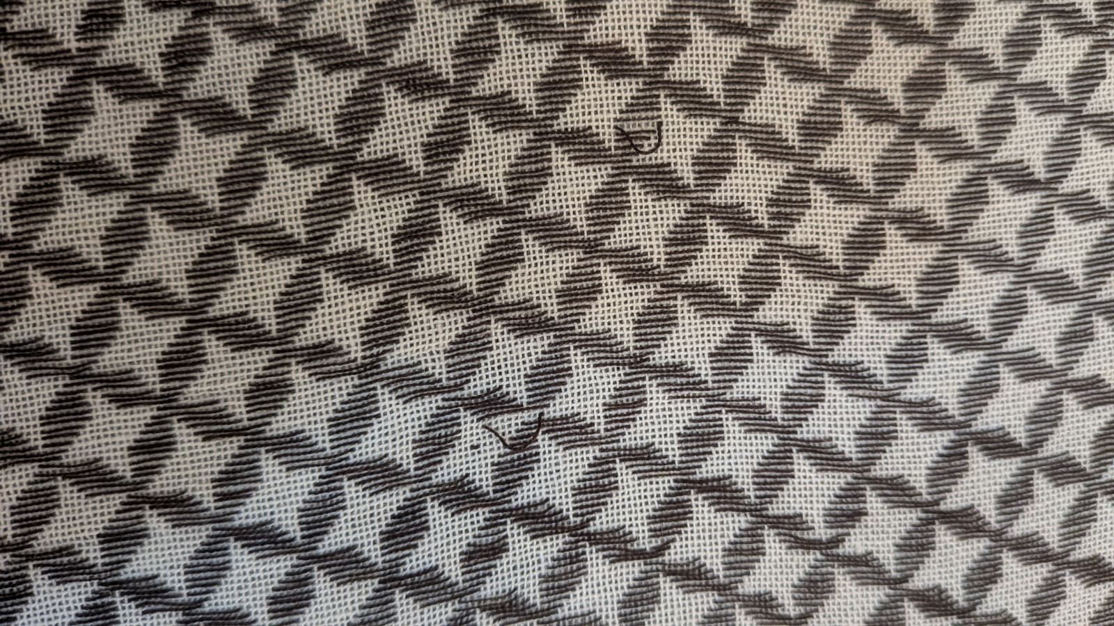 162558