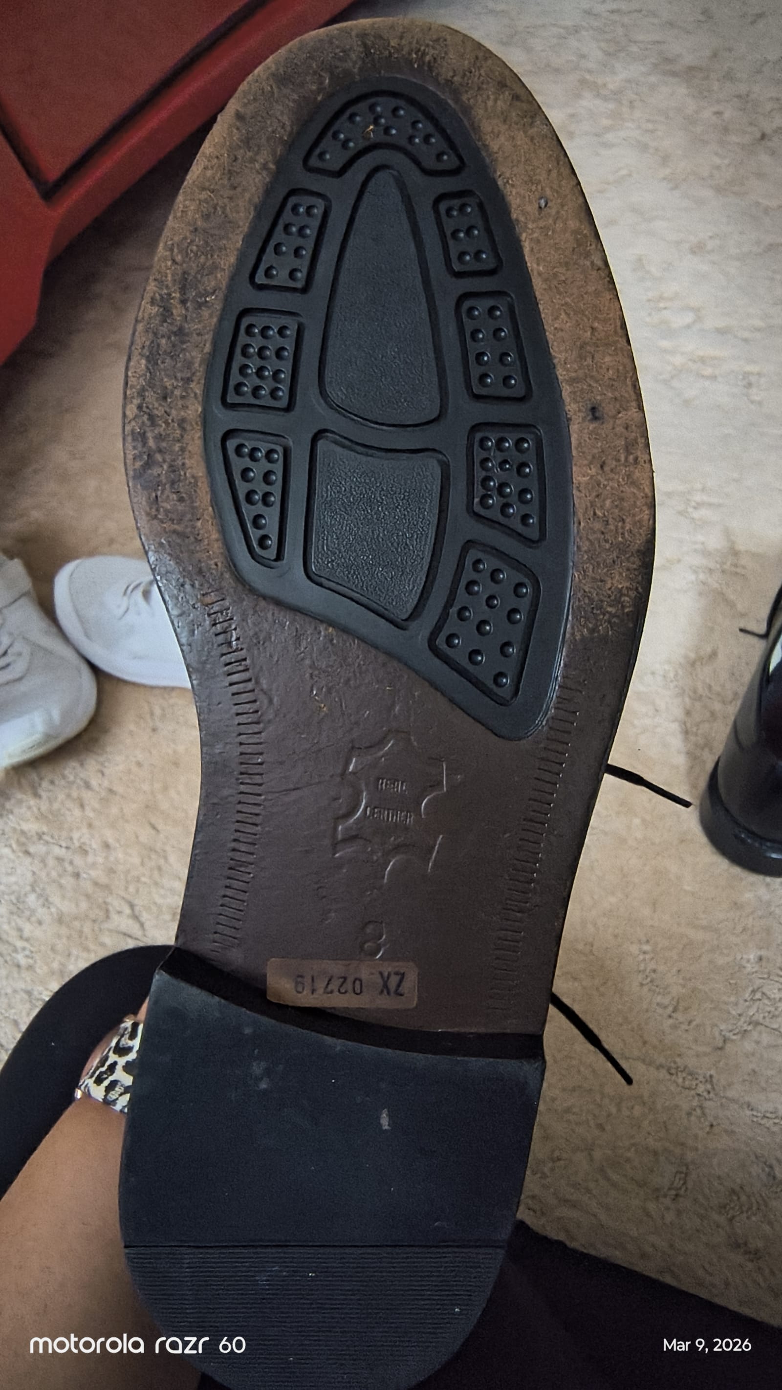 66786