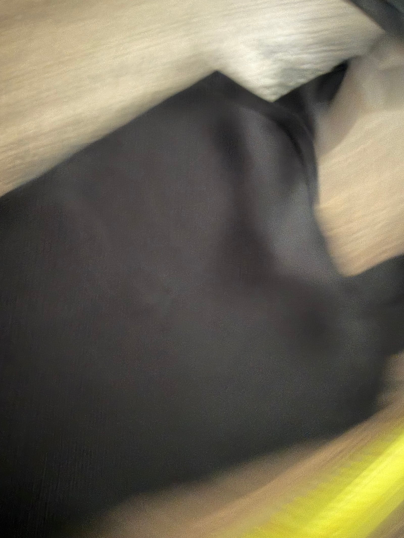149667