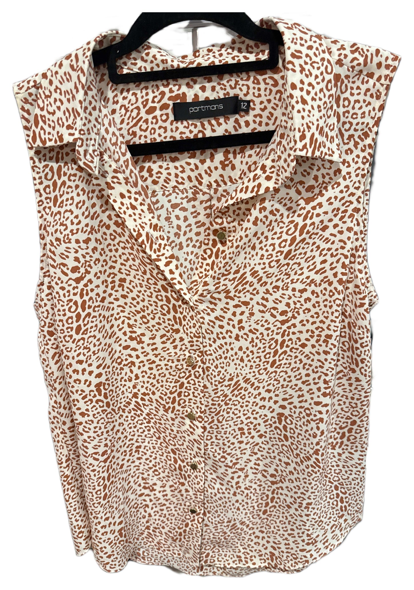23554