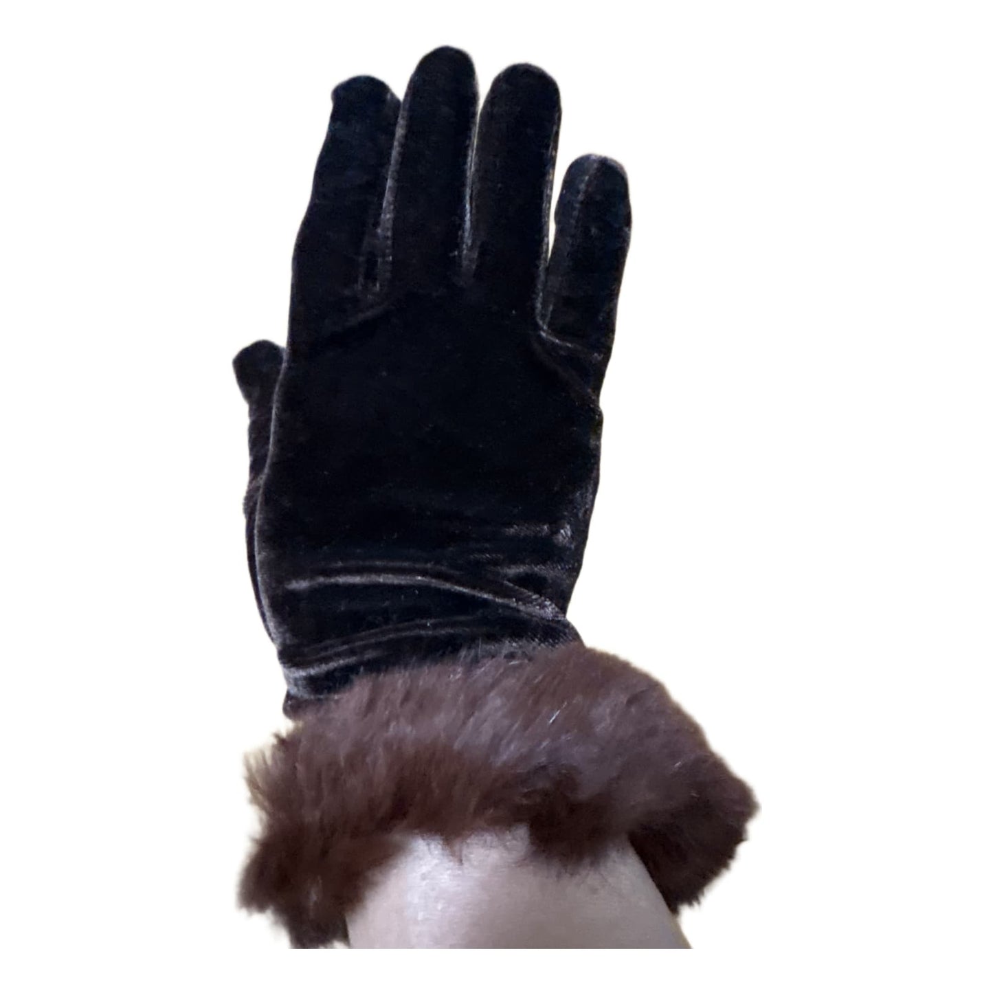 155698